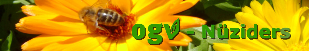 homepage_header_sommer_11.jpg