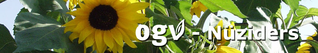 homepage_header_sommer_13.jpg