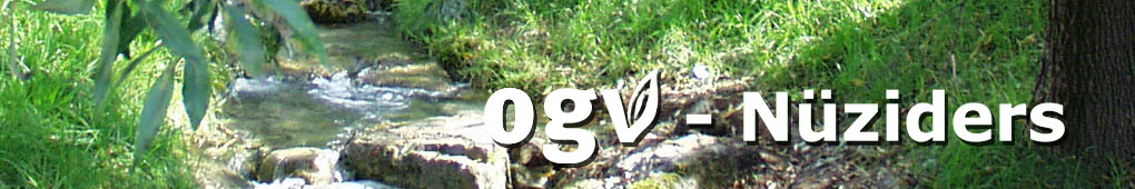 homepage_header_sommer_15.jpg