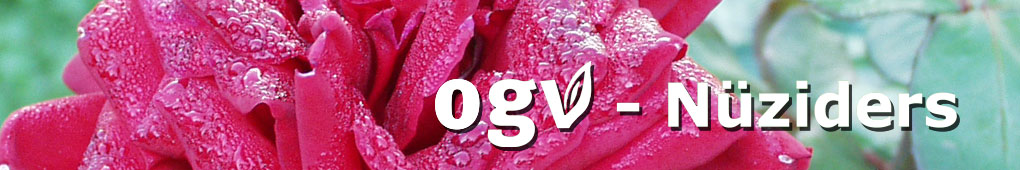 homepage_header_herbst_1.jpg