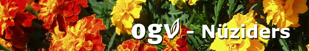 homepage_header_herbst_2.jpg
