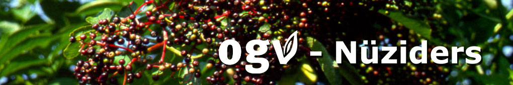 homepage_header_herbst_3.jpg