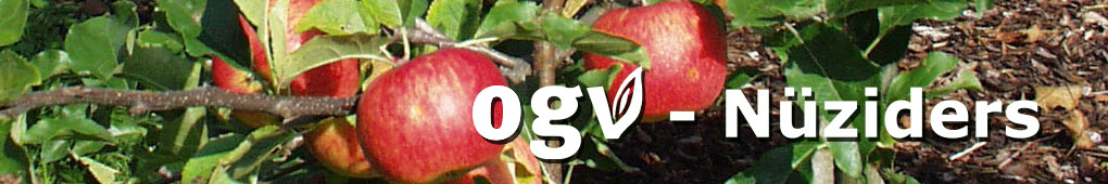 homepage_header_herbst_9.jpg